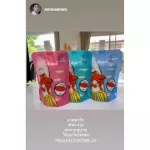 Misterfox, 8 ounces, 1 box, 1 box, 20 bags