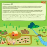 Peachy, a total of 9 types of vegetable biscuits, Trainning Biscuit with Nine Veggies, 15 grams x 12 sachets, 1 year or more.