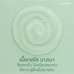 Aloe Vera Extract and Snow Giffarine