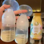 Milk Plus & More Milk Plus and Mor. Ginger 12 /24 water formula, concentrated banana blossom water mixed with 100% natural dates.