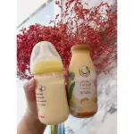 Milk Plus & More Milk Plus and Mor. Ginger 12 /24 water formula, concentrated banana blossom water mixed with 100% natural dates.