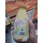 Milk Plus & More Milk Plus and Mor. Ginger 12 /24 water formula, concentrated banana blossom water mixed with 100% natural dates.