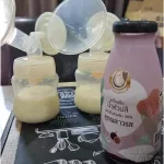 MILK Plus & More Milk Plus and Mor. Garden, Futsamental Formula, 12 /24 bottles, concentrated banana blossom water, 100% natural dates.