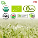 Only Organic, baby food, apples, bananas & mango, Apple Banana & Mango, Baby supplement For children aged 6 months or more