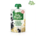 Transfer, organic, banana, blueberry & quinoa, organic supplement For children aged 6 months - 3 years
