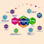 Enfa Lac E Plus milk formula, 2800 grams of baby powder, Enfa Lac A+ 2 Milk Powder 3800 Grams, newborn milk powder