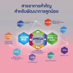 Enfa Lack Smart Plus Milk Milk 2, Baby Milk, 1500 grams, Enfa Lac Smart+ 2 Milk Powder 1500 Grams, newborn baby milk powder