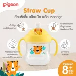 Pigeon Pigeon Learn to Drink Magmax Stepup Set