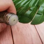 For children 7m+ vegetable powder, 2 recipes, vegetable powder and clear vegetable powder // Portable bottle size help mothers