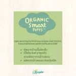 Crispy Jasmine Rice Mixed Quinoa and Spinach, 25 grams, Xongdur Baby Baby envelope