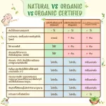 Wel-B Organic Purple Rice Puffs 56G Jasmine Rice Mixing organic rice berry, Valeba 56 grams - 100% organic melting snacks no Allergen