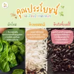 Wel-B Organic Rice Puffs with Spinach 56G Jasmine Rice Crispy Crispy Crispy Sea Tin B. 56 grams - Children's dessert, 100% organic melting. Free Allergens.