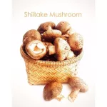 Crispy shiitake mushrooms, pritchip brands for children 1 year or more