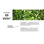 Crispy okra, delicious, Prai Tip, Children's vegetables