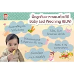 Apple Monkey Organic Baked Rice Snacks, children training for children 8 months or more