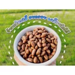 Children's dessert made from 3 -color brown rice, coated cocoa 120 grams of organic bag