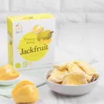 WEL-B Freeze-Dried Jackfruit 25g. Crispy Jackfruit, Valeb 25 grams-Children Free healthy desserts, no oil, do not use heat, easily digested, useful.