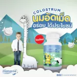 Mamarine COLOSTRUM นมอัดเม็ด  ฝันสูงแค่ไหน...ก็ไปถึง แพ็ค 2 ขวด