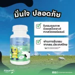 Mamarine COLOSTRUM นมอัดเม็ด  ฝันสูงแค่ไหน...ก็ไปถึง