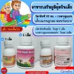 วิตามินและอาหารเสริมเด็ก กิฟฟารีน วิตามินซี เบตากลูคิดส์ เสริมภูมิคุ้มกัน ภูมิต้านทาน แก้หวัด สำหรับเด็ก 1ปีขึ้นไป