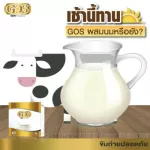 GOS ปรับสมดุลลำไส้ขับถ่ายดี