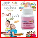 Vitamins, Giffarine, Brain supplements, nourishing the brain, strengthening choline-Kids Giffarine
