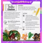 โคลีนคิดส์ กิฟฟารีน giffarine บำรุงสมอง จำแม่น คิดเร็ว ความจำ สมอง โคลีน ไบทาร์เทรต อาหารเสริมเด็ก เม็ดเคี้ยว