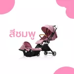 2 in 1 stroller comes with a lightweight car seat.