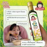 น้ำมันรำข้าว ผสมจมูกข้าวสังข์หยด สกัดเย็น ออร์กาเนะ พลัส