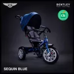 Bentley - Cart and bicycle, Bentley