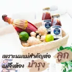 เซตทดลอง 2 ขวด น้ำหัวปลีสกัดเข้มข้นผสมขิงและมะนาว สูตรหญ้าหวาน บำรุงน้ำนม บำรุงครรภ์