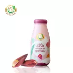 Milk Plus & More น้ำหัวปลี คละ2รส 48 ขวด ดั้งเดิม+ขิง เพิ่มน้ำนม บำรุงครรภ์