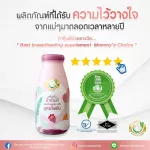 Milk Plus & More 12 ginger flavor