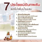 ANDALUS น้ำอินทผาลัม 100 %