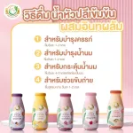 Milk Plus & More - Pack X 24 Bottom Barriel Bottom Mixed Dubbed Bullet