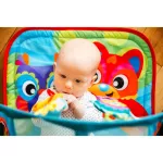 Playgro Honey Bee Bear Tunnel Gym Play Gym Gym