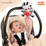 Gym Spots & Stripes Safari