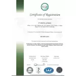 แผ่นรองซับสำหรับผู้ใหญ่ Sensi เซ็นซี่ ไซส์ L 10 แผ่น1ห่อมี 10 แผ่น ขนาดแผ่น 45 x 70 ซม.