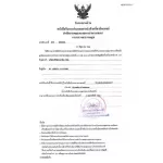 แผ่นรองซับสำหรับผู้ใหญ่ Sensi เซ็นซี่ ไซส์ XL 10 แผ่น1ห่อมี 10 แผ่น ขนาดแผ่น 60 x 90 ซม.