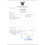 แผ่นรองซับสำหรับผู้ใหญ่ Sensi เซ็นซี่ ไซส์ XL 10 แผ่น1ห่อมี 10 แผ่น ขนาดแผ่น 60 x 90 ซม.