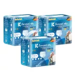 Adult Diaper, Doctor Clean DR.Klean night pants, 33 pieces