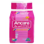 Ancare at 10 adult diapers/wrapped