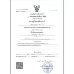 Adult Diapers Extra Plus NS Size M, containing 20 pieces