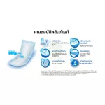 เซอร์เทนตี้ แผ่นเสริมซึมซับ เดย์ & ไนท์ แพ็คละ 12 ชิ้น x 8 แพ็ค
