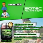 SCITEC NUTRITION BCAA+Glutamine Watermelon 280g amino acid BCA Glutamine