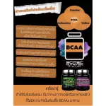 SCITEC NUTRITION BCAA+Glutamine Watermelon 280g amino acid BCA Glutamine