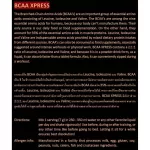 SCITEC NUTRITION BCAA+Glutamine Watermelon 280g amino acid BCA Glutamine