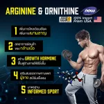 Now Arginine & Ornithine 500 mg / 100 mg Veg Capsules "Body rehabilitation amino acid"