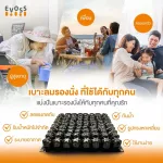 EVOSS, wind cushion, healthy seat General chair Car seats and wheelchair