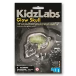 4M Kidz Labs - Glow Skull ของเล่นจำลองกะโหลก